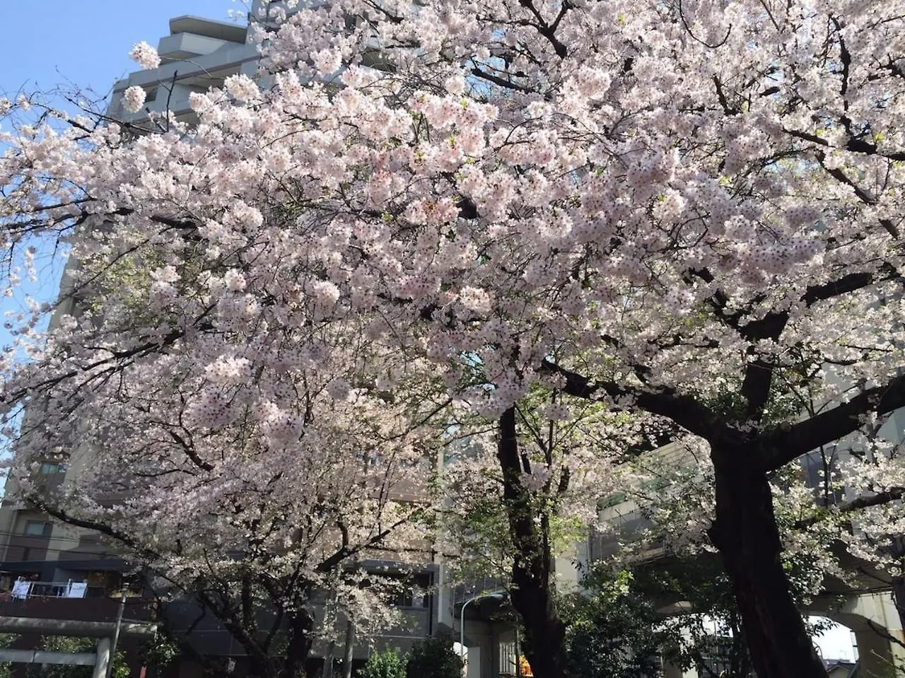 Apartment Shibuya Stay Tokyo A101