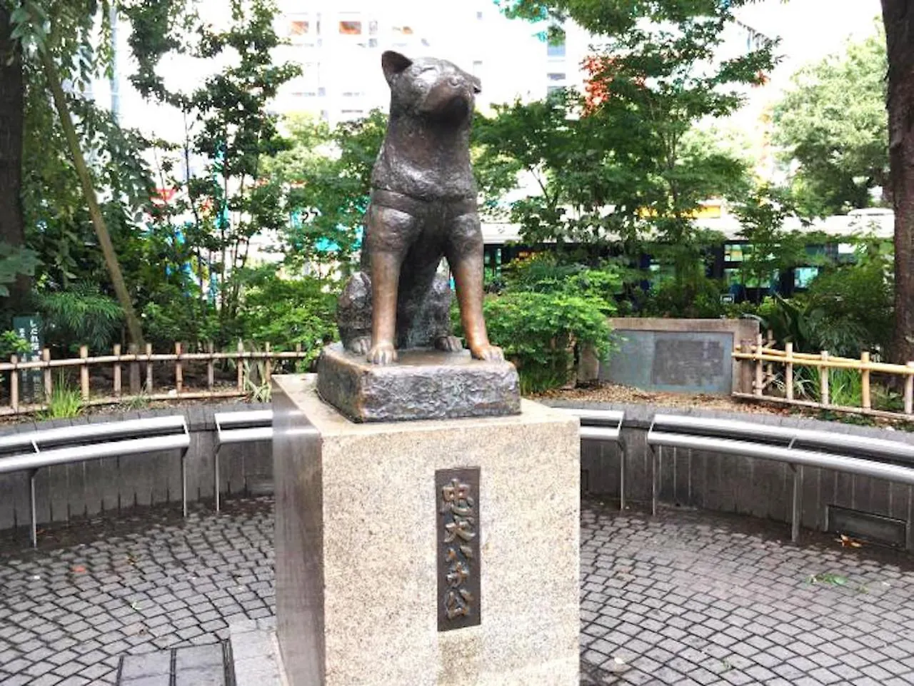 Shibuya Stay Tokyo A101 Apartment